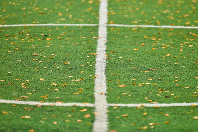 High angle view of field