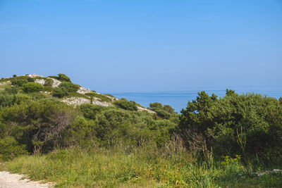 Scenic view of sea against clear blue sky