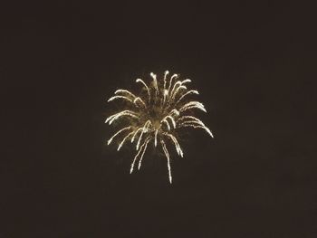 Low angle view of firework display