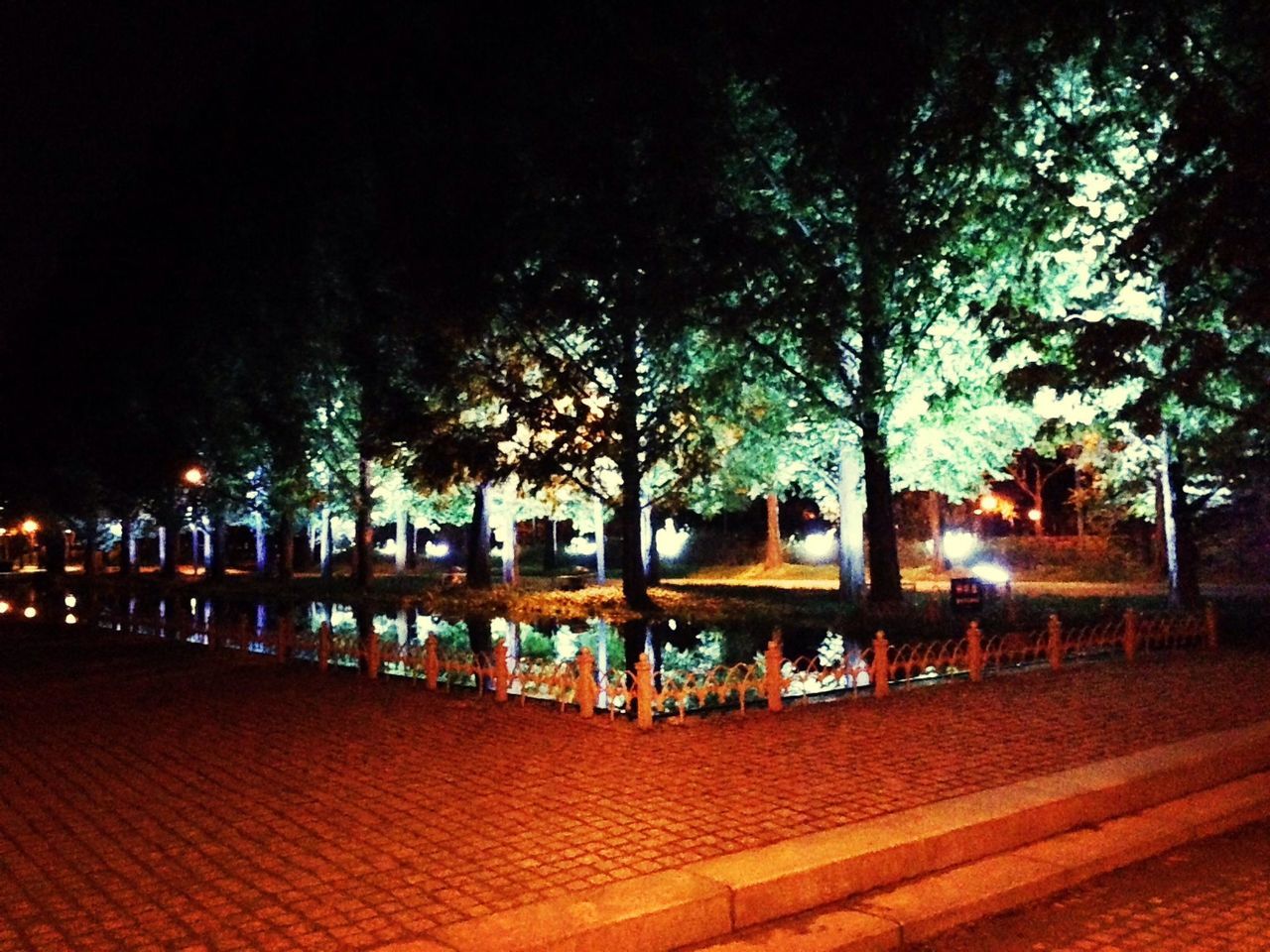 tree, illuminated, night, street light, built structure, lighting equipment, water, architecture, railing, in a row, sky, footpath, outdoors, tranquility, building exterior, nature, the way forward, incidental people, empty, park - man made space