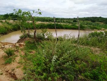 Scenic view of lake against sky