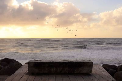 Birds flying over sea against sky