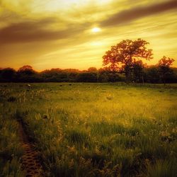 Scenic view of field against dramatic sky