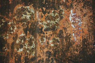 Full frame shot of weathered wall