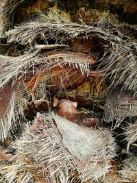 Full frame shot of fishing net