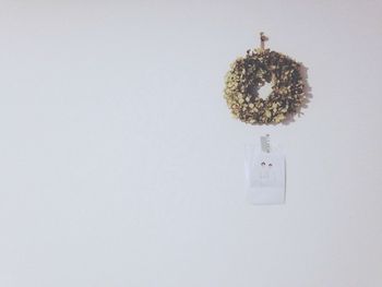 Close-up of food over white background