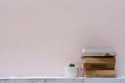 Cactus and books against wall