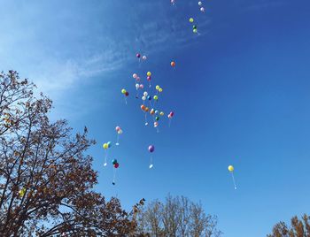 Low angle view of balloons flying against blue sky