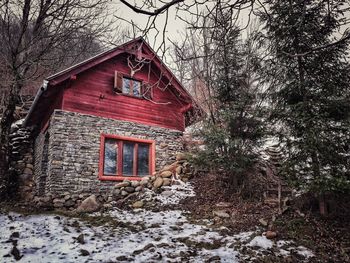 House and bare trees on snow covered field