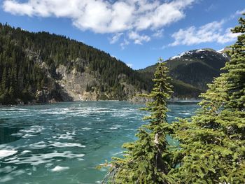 Scenic view of waterfall and trees against sky