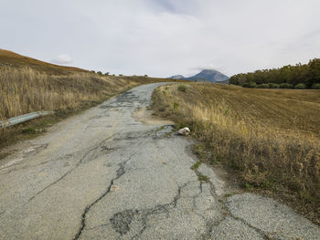 Landscape of an old road in ardales, malaga, spain