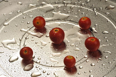 High angle view of red berries on water