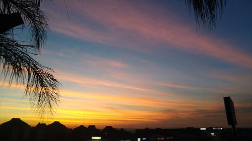 Silhouette of trees at sunset