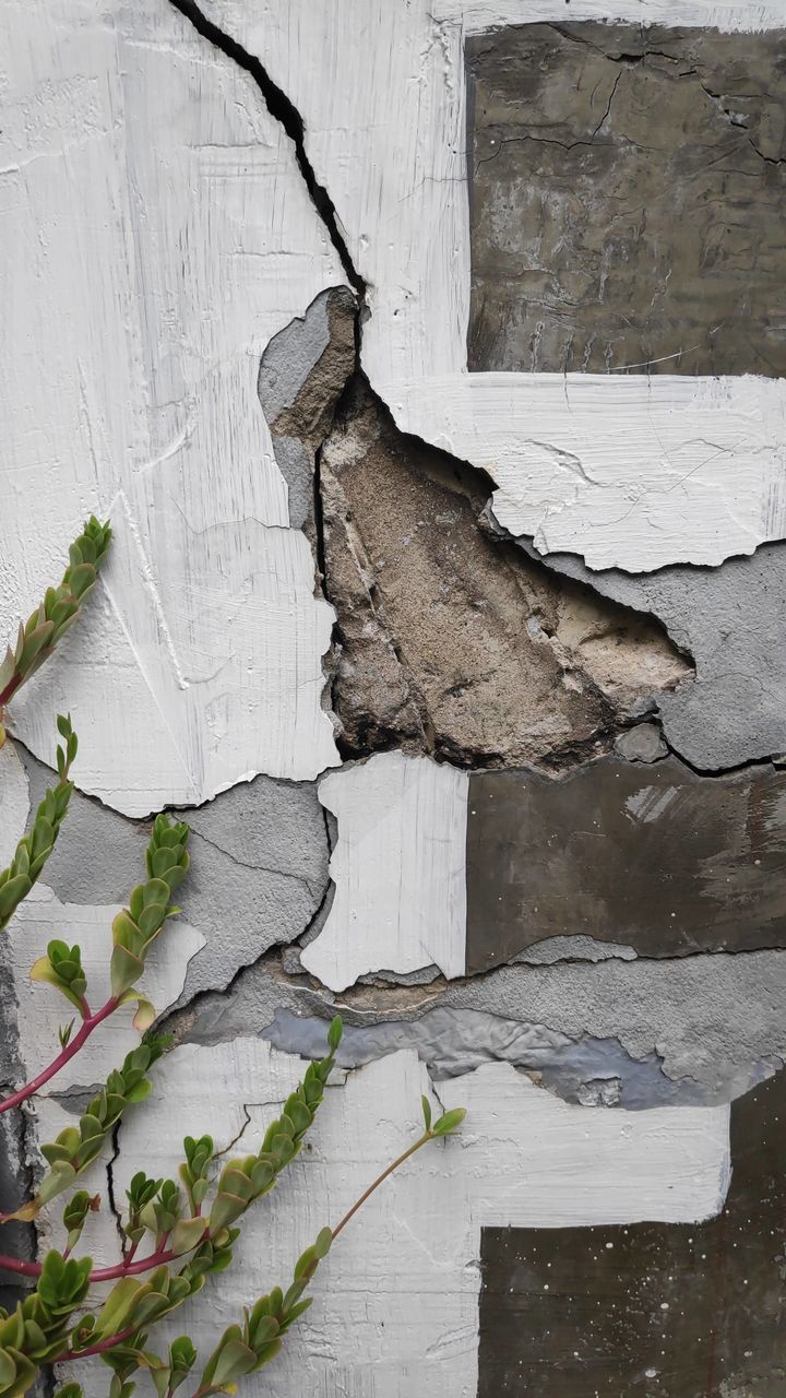 CLOSE-UP OF WEATHERED WOOD ON WALL