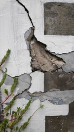 Close-up of weathered wood against wall