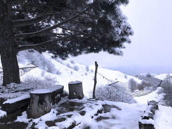Snow covered land and trees against sky