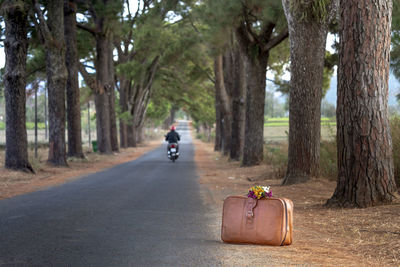 Rear view of man cycling on road amidst trees in forest