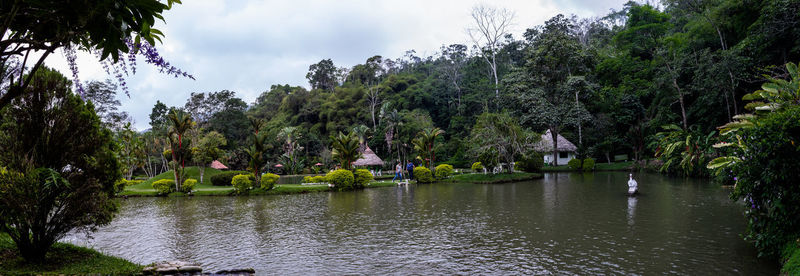 Scenic view of river amidst trees against sky