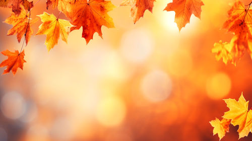autumn
