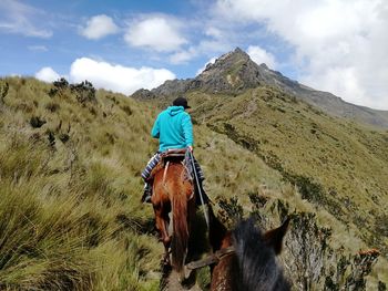 Rear view of horse riding