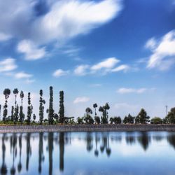 Reflection of trees in lake against sky