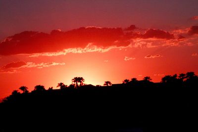 Silhouette trees against dramatic sky during sunset