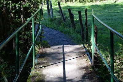 Footpath by railing