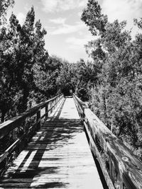 Footbridge over river