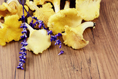 Close-up of mushrooms on table