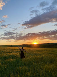 Field and sunset