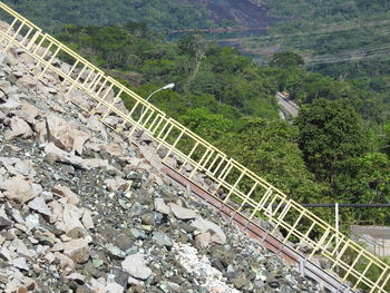 High angle view of bird on bridge