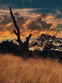 Scenic view of field against sky during sunset