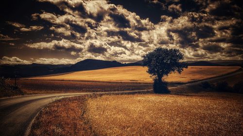 Scenic view of field against sky