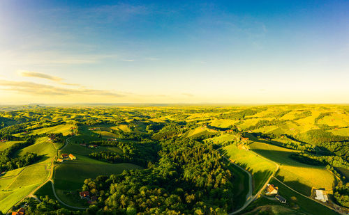 Gorgeous sunset over beautiful green vineyards. aerial panorama sunset over 