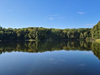 Scenic view of lake by trees against blue sky