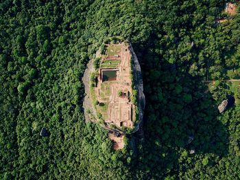 High angle view of sigiriya rock in forest