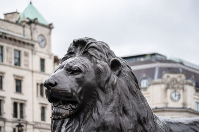 Low angle view of lion statue against building