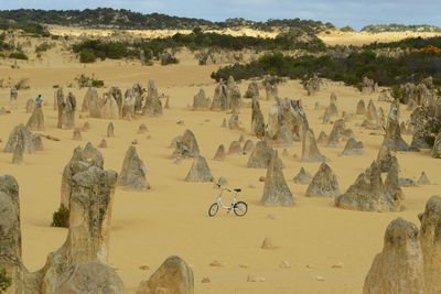 Panoramic view of desert