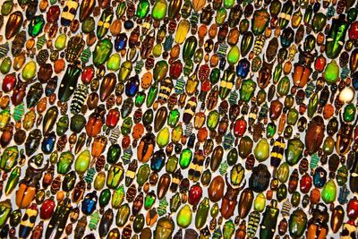 High angle view of people on multi colored umbrellas