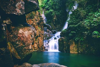 View of waterfall in forest