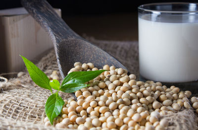 Close up of soy beans and glass of milk