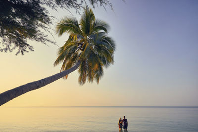 Rear view of couple standing in sea against sky during sunset