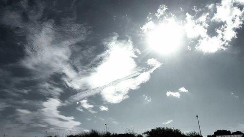 Low angle view of trees against sky