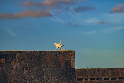 Low angle view of security camera against sky