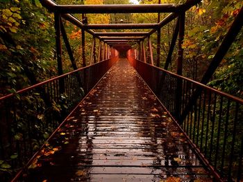 Footbridge amidst trees in forest