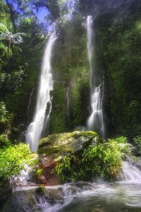 Scenic view of waterfall in forest