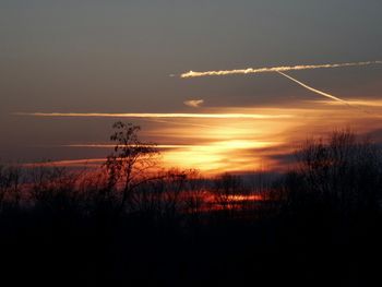 Silhouette of trees at sunset