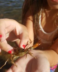 Close-up of girl holding shrimp