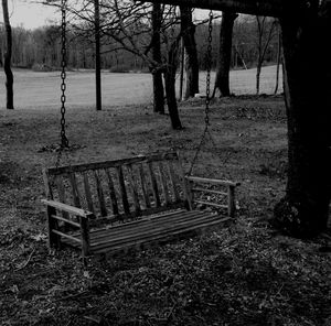 Empty bench in park