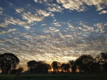 Silhouette trees on field against sky at sunset